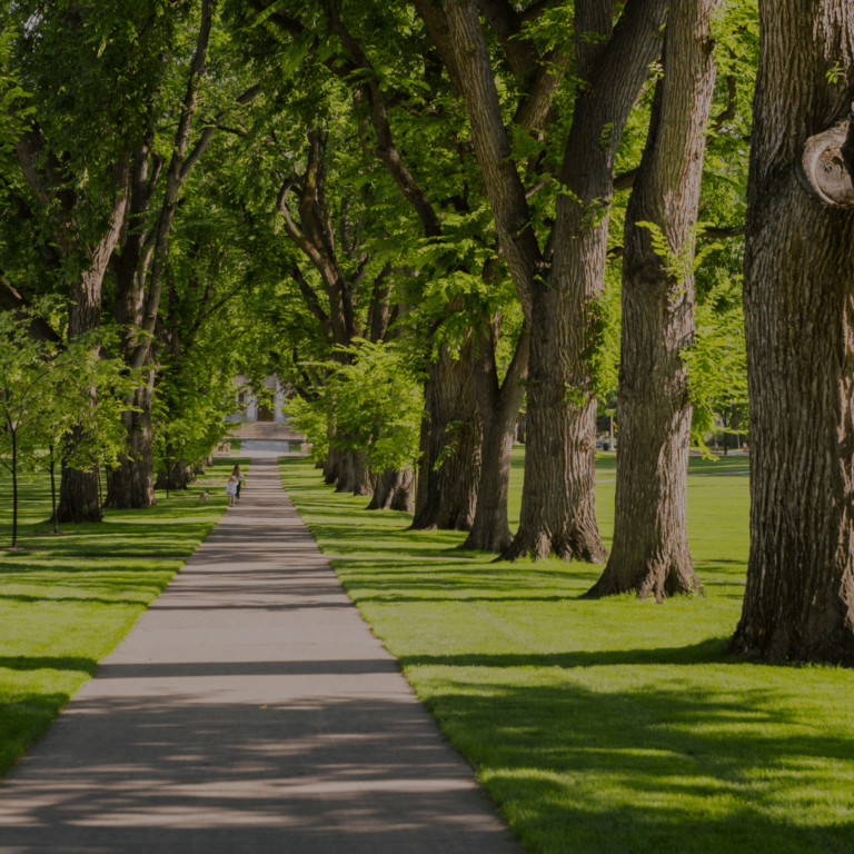 A picture of a woman and her child walking down a path lined with trees